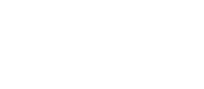 screamingfroglogo.webp
