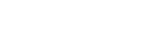 seolyzer.webp