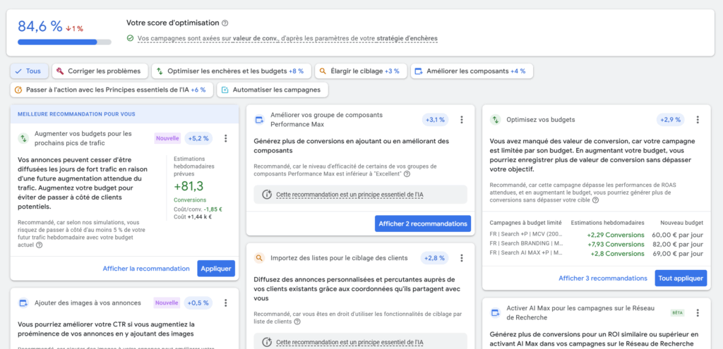 Onglet optimisation Google